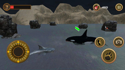 大白鲨手游app截图