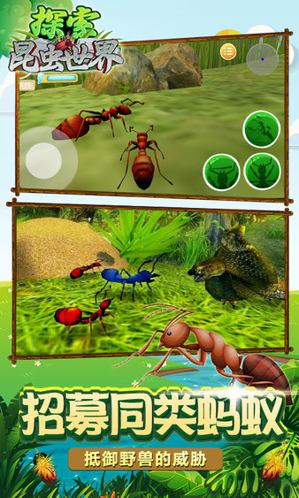 昆虫世界生存指南手游app截图