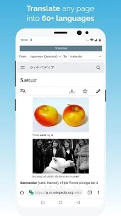 kiwi浏览器手机软件app截图