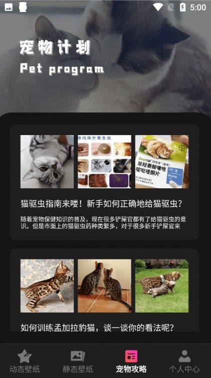 猫咪壁纸安卓版手机软件app截图