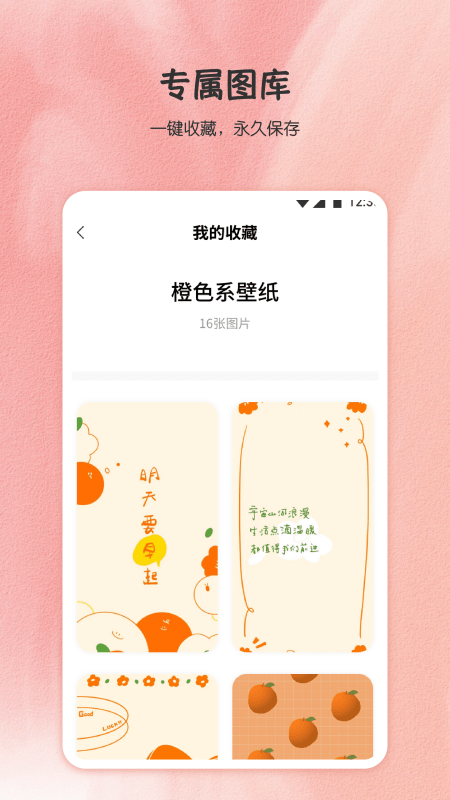小王壁纸安卓版最新版手机软件app截图