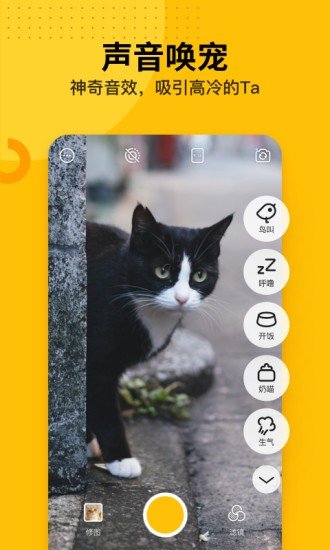 爪叽最新版手机软件app截图