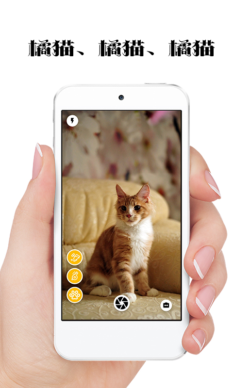 极简猫咪相机手机软件app截图