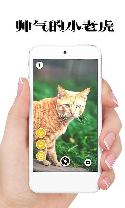 极简猫咪相机手机软件app截图