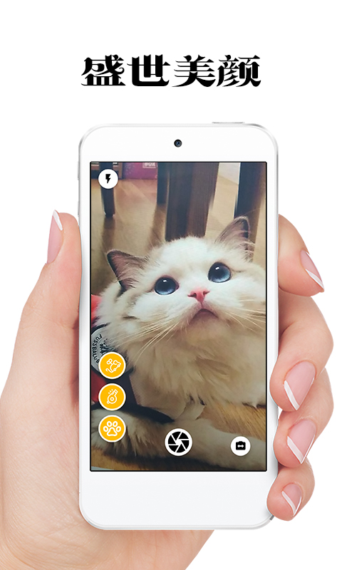 极简猫咪相机最新版手机软件app截图