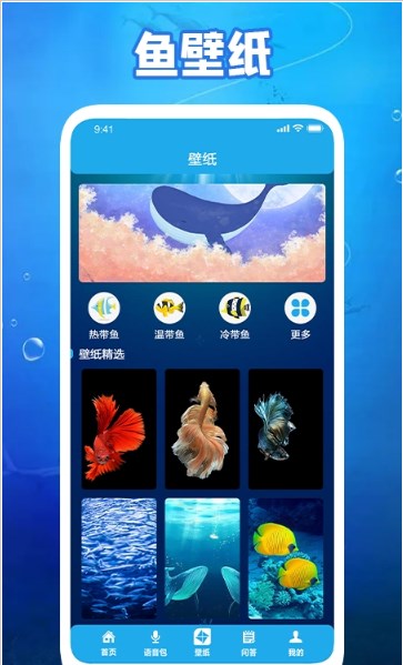 养鱼小高手手机软件app截图