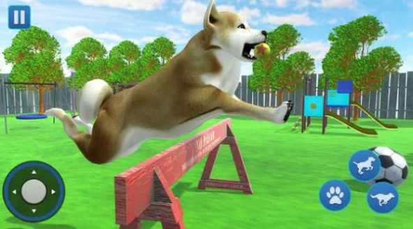狗生活模拟器3D手游app截图