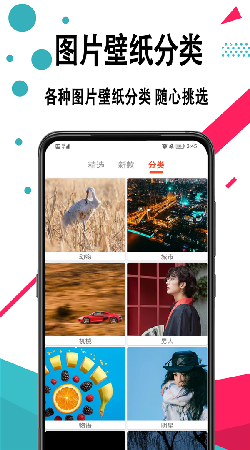 好看手机壁纸2022版下载手机软件app截图