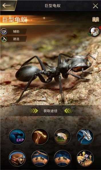 超能蚁团手游app截图