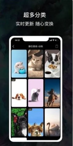 4K酷潮壁‪纸最新版手机软件app截图