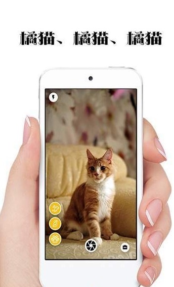 极简猫咪相机下载安装官方版手机软件app截图