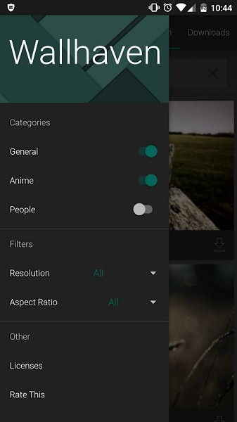 wallhaven壁纸中文版手机软件app截图