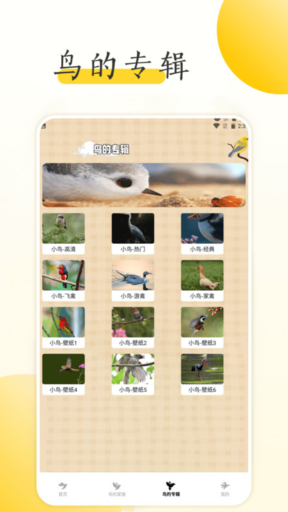 小鸟壁纸大全最新版本下载手机软件app截图