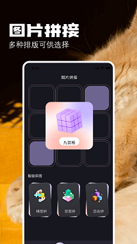 布偶相机app最新版手机软件app截图