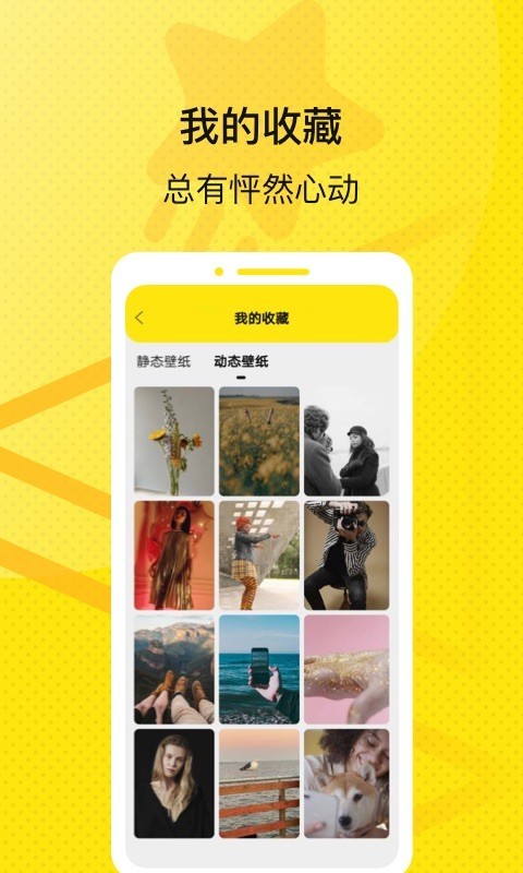 挽星壁纸手机软件app截图