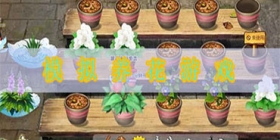 模拟养花的游戏合集