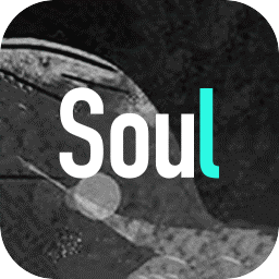 Soul手机软件app logo