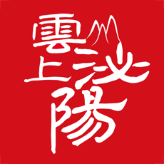 云上泌阳手机软件app logo