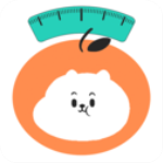 饭橘减肥app手机软件app logo