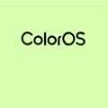 ColorOS 12公测版手机软件app logo