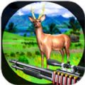 猎鹿比赛手游app logo