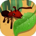 蚂蚁进化3D大树迷宫