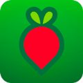 叮咚买菜官网手机软件app logo