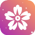 花季视频制作手机软件app logo