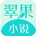 翠果小说2022手机软件app logo