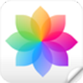 花瓣壁纸2022手机软件app logo