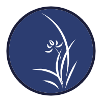 壁纸湖手机软件app logo