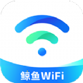 鲸鱼WiFi手机软件app logo