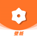 卡哇伊壁纸2022版下载手机软件app logo