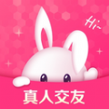花兔交友手机软件app logo