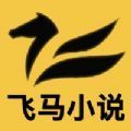 飞马小说手机软件app logo
