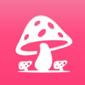 蘑菇赏最新版下载手机软件app logo