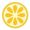 果橙头像壁纸手机软件app logo
