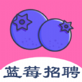 蓝莓招聘手机软件app logo