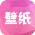 炫彩主题壁纸新版下载手机软件app logo