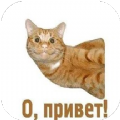 俄语助手手机软件app logo