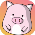猪猪石头碰手游app logo