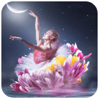 芭蕾舞壁纸2022手机软件app logo