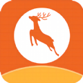 小鹿专升本手机软件app logo