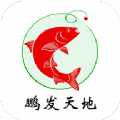 鹏发天地手机软件app logo