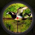 野鸭狩猎手游app logo