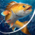 钓鱼挑战赛手游app logo