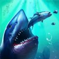 鲨鱼进化模拟器手游app logo
