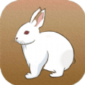 守住小兔子手游app logo