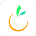 橙宝网手机软件app logo