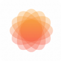 态壁纸手机软件app logo